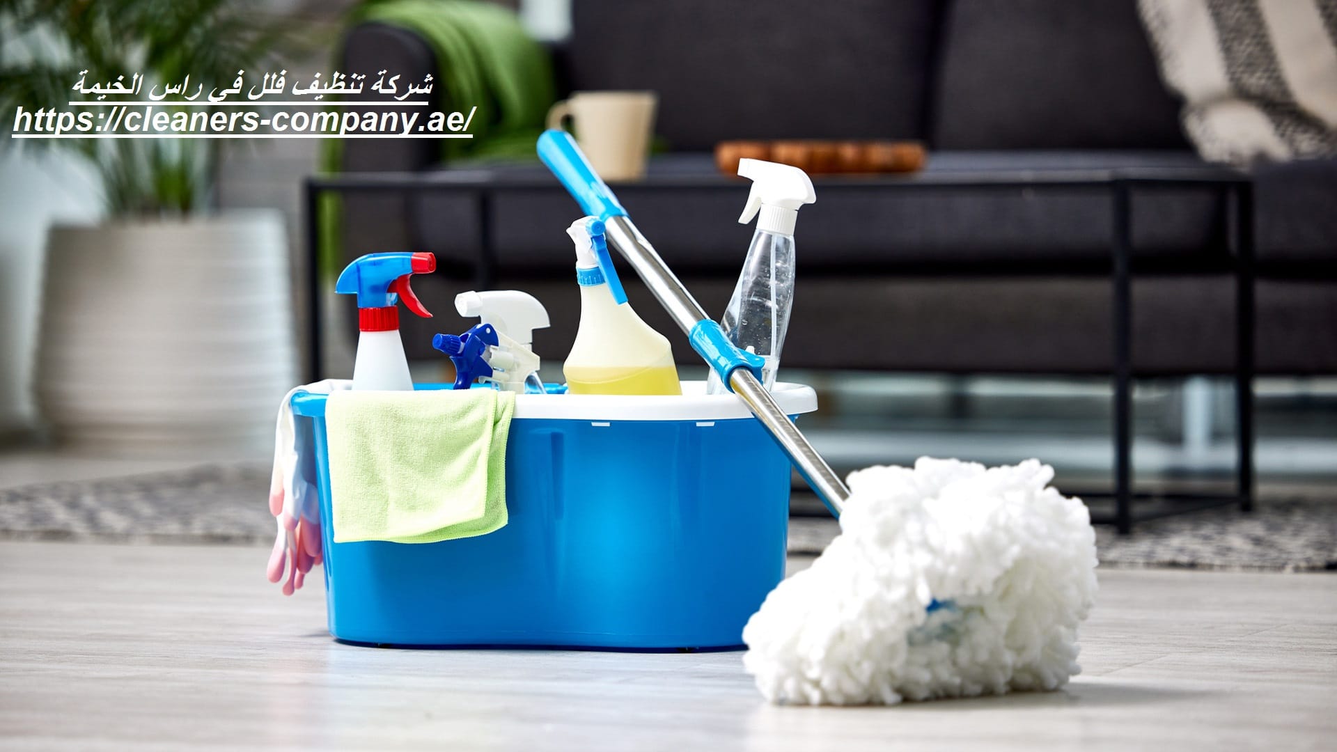 شركة تنظيف فلل في راس الخيمة