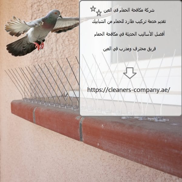 شركة مكافحة الحمام فى العين