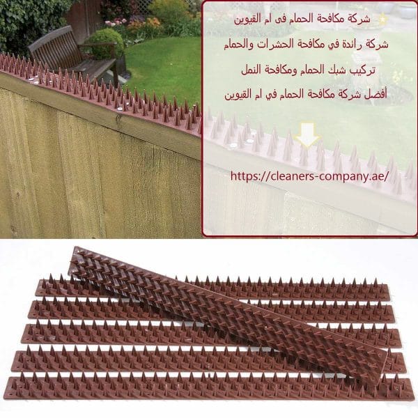 شركة مكافحة الحمام فى ام القيوين