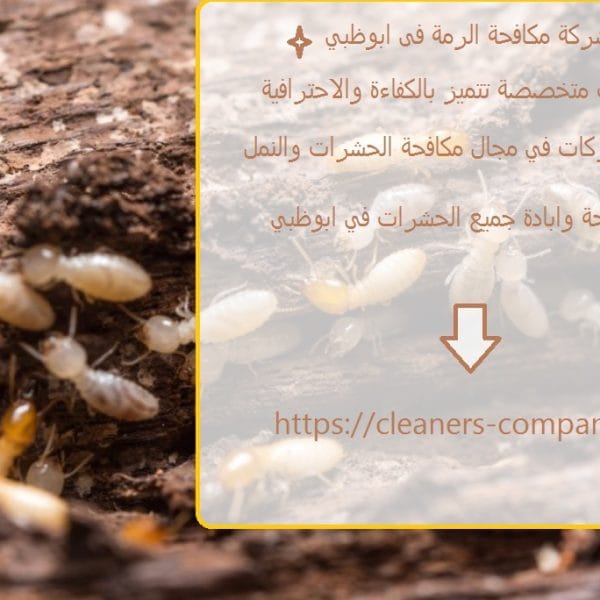 شركة مكافحة الرمة فى ابوظبي