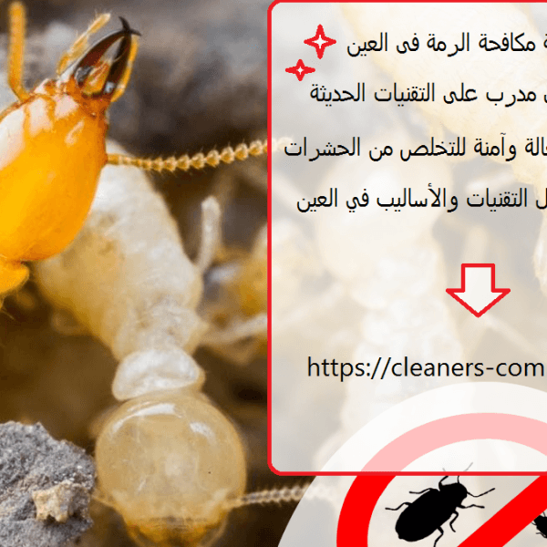 شركة مكافحة الرمة فى العين