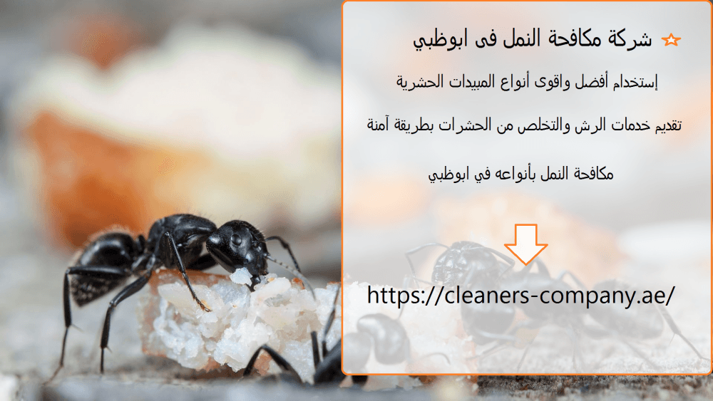 شركة مكافحة النمل فى ابوظبي