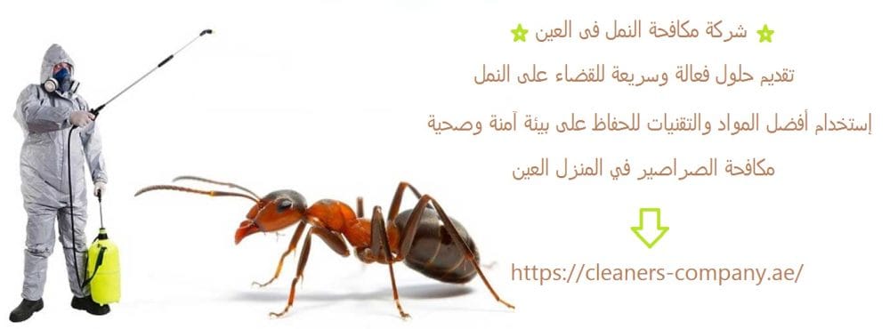 شركة مكافحة النمل فى العين