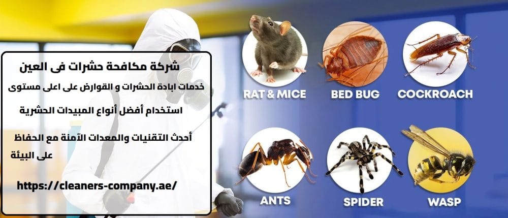 شركة مكافحة حشرات فى العين