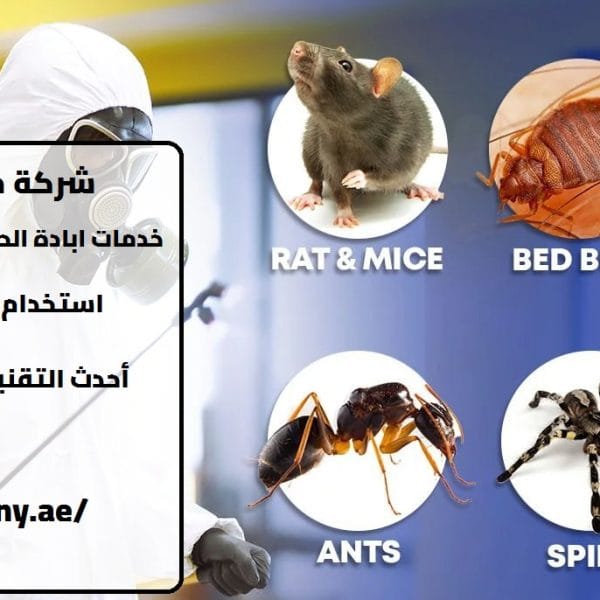 شركة مكافحة حشرات فى العين