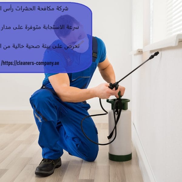 أفضل شركة مكافحة حشرات في رأس الخيمة