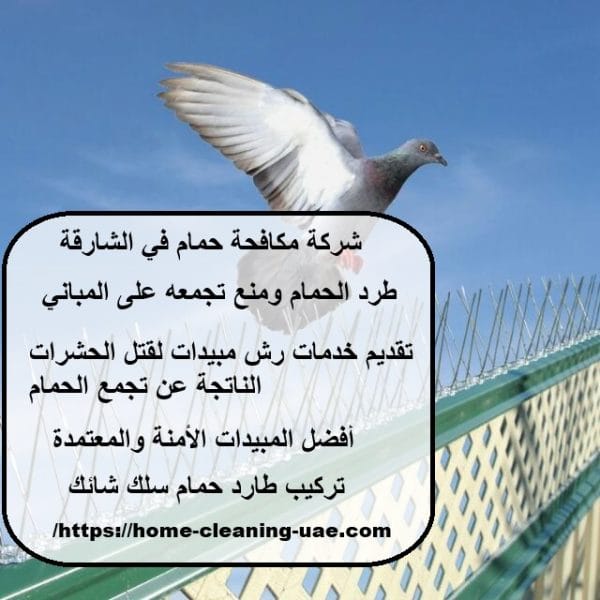 شركة مكافحة حمام في الشارقة