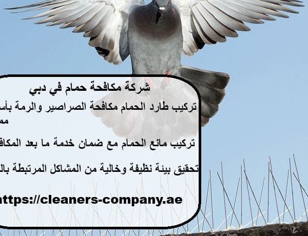 شركة مكافحة حمام في دبي