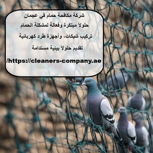 شركة مكافحة حمام في عجمان