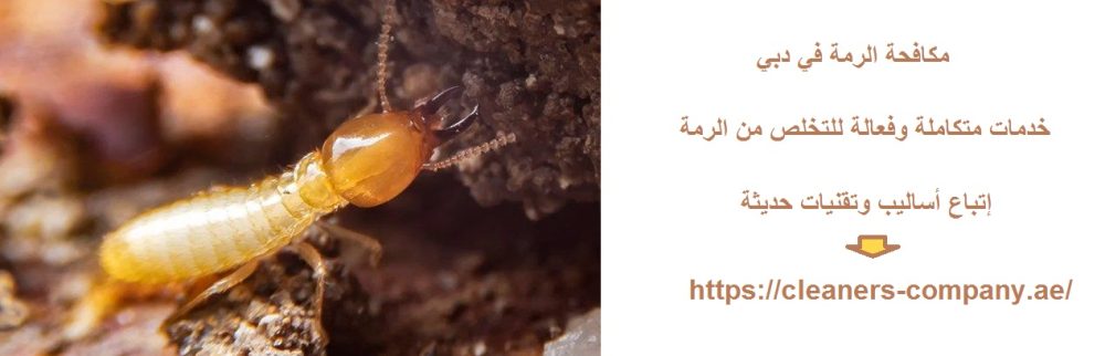 مكافحة الرمة في دبي