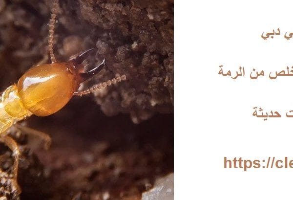 مكافحة الرمة في دبي